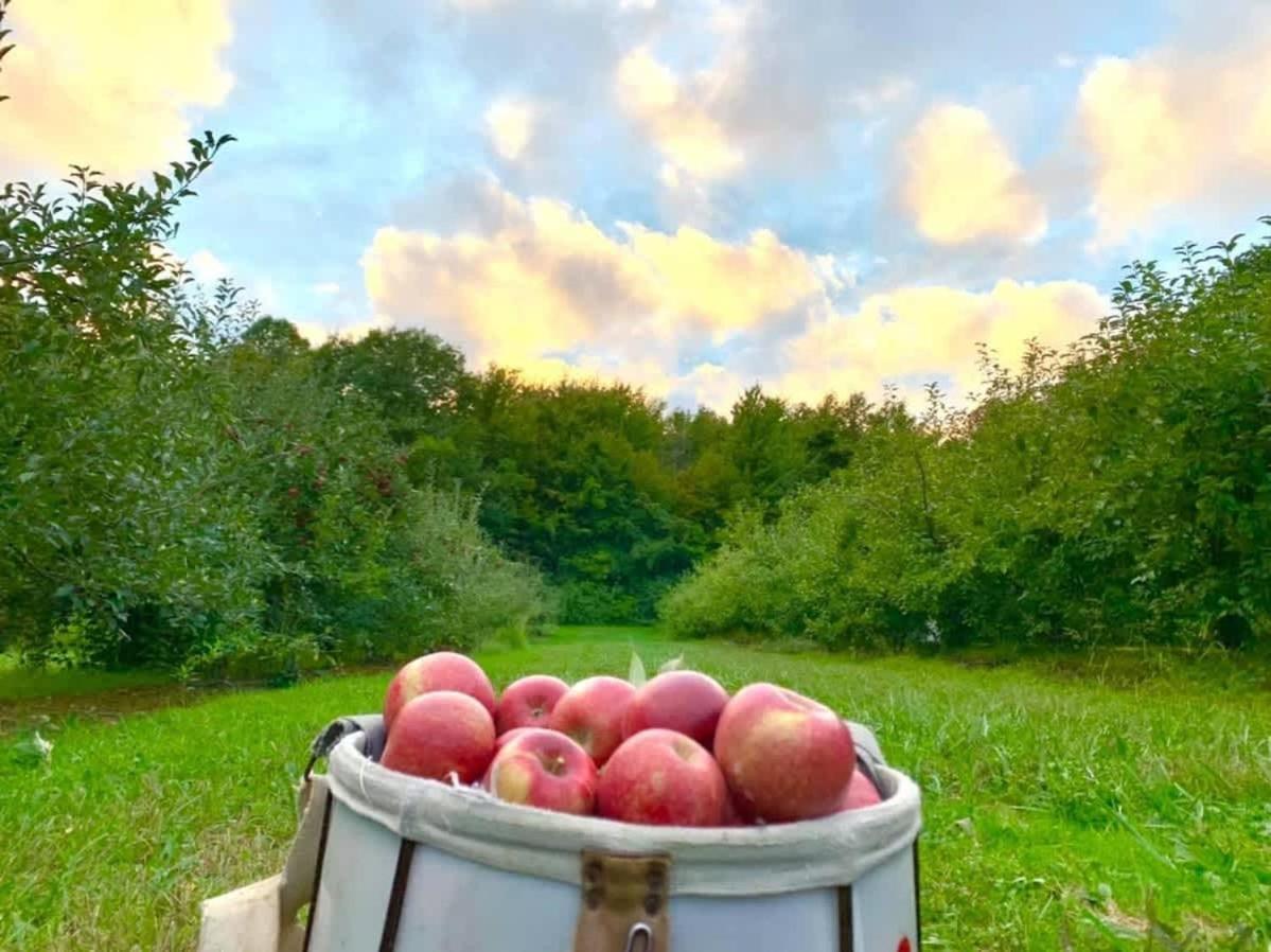 The Cortland Cottage At Brant'S Apple Orchard Ashtabula Exterior photo