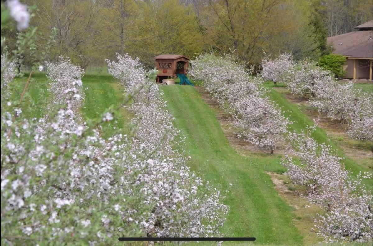 The Cortland Cottage At Brant'S Apple Orchard Ashtabula Exterior photo